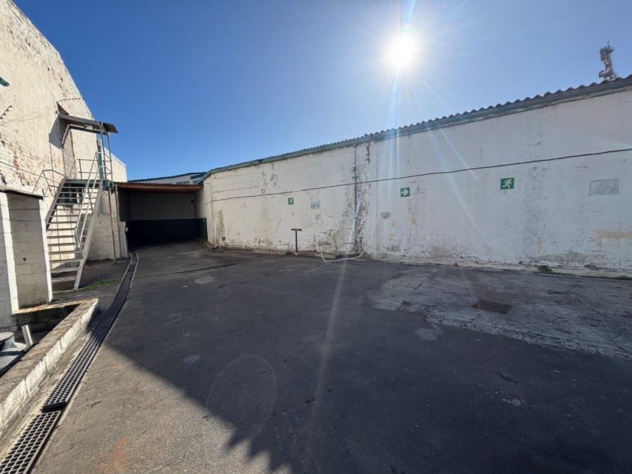 To Let commercial Property for Rent in Paarden Eiland Western Cape